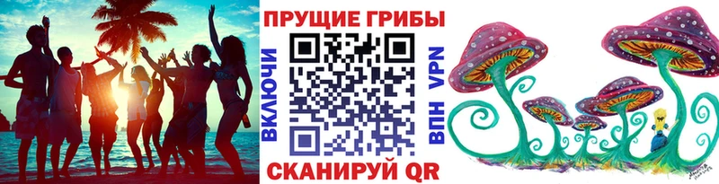 магазин  наркотиков  Мурино  блэк спрут сайт  Псилоцибиновые грибы Cubensis 